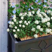 Outsunny Outdoor Planter Box Galvanized Raised Garden Bed with Trellis for Climbing Vines, 35.4" x 15.7" x 47.2", Black(m-9)