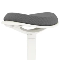 HOMCOM Standing Desk Stool, Ergonomic Wobble Chair, Adjustable Leaning Stool for Office Desks, with Rocking Motion, Grey(m-9)