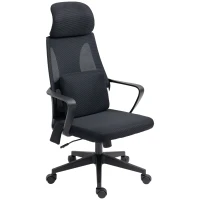 Vinsetto Office Chair High Back, Ergonomic Mesh Computer Chair Executive Task Chair with Massage Lumbar Support & Headrest Rocking(m-11)