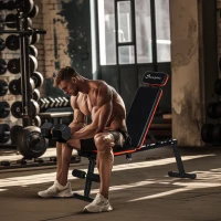 Soozier Adjustable Weight Bench, Foldable Workout Bench with Extended Head Protection, Flat or Incline(m-1)