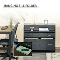 Vinsetto Lateral File Cabinet with 2 Drawers,  Filing Cabinet for Hanging Letter Sized Files, Office Printer Stand, Black(m-5)