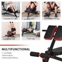 Soozier Adjustable Weight Bench Roman Chair Exercise Training Multi-Functional Hyper Extension Bench Dumbbell Bench Ab Sit up Decline Flat Black and Red(m-6)