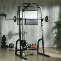 Soozier Power Cage Power Rack with 15-Level Squat Rack, Cable Pulley System, Pull up Stand and Push up Stand(m-10)