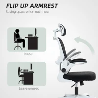 HOMCOM Mesh Office Chair, Ergonomic Desk Chair with Flip-up Armrest, Rotatable Headrest, Adjustable Lumbar Support, Black(m-7)