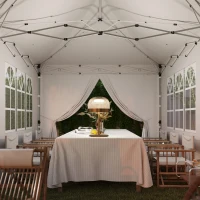 Outsunny 20x10 Pop Up Canopy with 6 Removable Sidewall, Carry Bag and 6 Sand Bags, Height Adjustable Instant Sun Shelter, Grey(m-9)