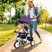 Qaba 6 in 1 Toddler Tricycle Stroller with Basket, Canopy, 5-point Safety Harness, for 12-60 Months, Purple(m-1)