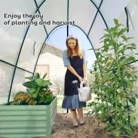 Outsunny Tunnel Hoop House Greenhouse with Sandbags and Hemmed PE Cover, 2 Doors and Screen Windows, 6' x 6' x 6.6', White(m-8)
