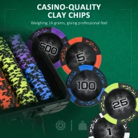 Soozier 300PCs 14 Gram Clay Poker Chips Set Casino Poker Chips with Aluminum Case, Playing Cards, Dealer Button, 5 Dices(m-5)