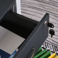 HOMCOM 2 Drawer Filing Cabinet with Lock, Vertical File Cabinet with Wheels, Mobile Office Cabinet for Letter, A4 Size Files, Black(m-9)