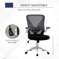 Vinsetto Mid-Back Mesh Home Office Chair Computer Task Ergonomic Desk Chair with Lumbar Back Support, Flip-Up Arm, and Adjustable Height, Grey(m-4)