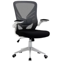 Vinsetto Mid-Back Mesh Home Office Chair Computer Task Ergonomic Desk Chair with Lumbar Back Support, Flip-Up Arm, and Adjustable Height, Grey(m-11)