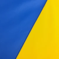 Soozier 4'x10'x2'' Folding Gymnastics Tumbling Mat, Exercise Mat with Carrying Handles for Yoga, MMA, Martial Arts, Stretching, Core Workouts, MultiColor(m-9)