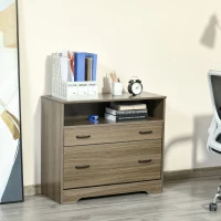 Vinsetto Lateral File Cabinet with Shelf, 2 Drawer Filing Cabinet for Letter Sized Papers, Print Stand, Charcoal Grey(m-10)