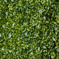 Outsunny 12PCs Grass Wall Panels, 20" x 20" Artificial Grass Wall Decor, Greenery Backdrop Panels Wall for Outdoor, Indoor, Garden, Fence, Backyard, Green and White(m-8)