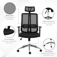 Vinsetto High Back Mesh Chair Office Task Chair with Adjustable Height, Headrest, Arm, Lumbar Back Support, Black(m-10)