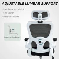HOMCOM Mesh Office Chair, Ergonomic Desk Chair with Flip-up Armrest, Rotatable Headrest, Adjustable Lumbar Support, Black(m-5)