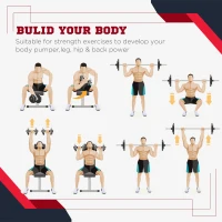 Soozier 4 Piece dumbbell Weight Plates Set 2 x 11lbs and 2 x 22lbs Black (Weights Only)(m-7)