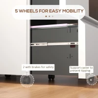 Vinsetto Mobile Vertical Filing Cabinet with Lock, 2-Drawer Steel File Cabinet with Adjustable Hanging Bar for Letter, A4 and Legal Size, White(m-7)