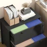 HOMCOM Lateral File Cabinet, 2 Drawer Filing Cabinet with Adjustable Hanging Bar for Letter, A4 and Legal Size, Black(m-8)
