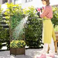 Outsunny Wooden Raised Garden Bed, Planter with Trellis for Vine Climbing and Vegetables, Herbs and Flowers Growing, Carbonized(m-7)