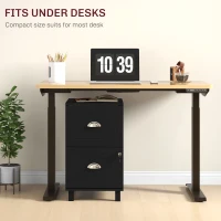 HOMCOM 2-Drawer Small Filing Cabinet Lockable Home Office Storage Cabinet with Adjustable Hanging Bars for A4 Letter Black(m-9)