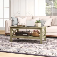 HOMCOM Coffee Table with Tempered Glass Tabletop, Living Room Table with Wood Frame and Underneath Storage Shelf, Gray(m-9)