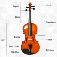 Soozier 4/4 Violin Maple Wood Full Set of Accessories Storage Box, Orange(m-5)