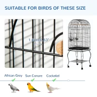 PawHut 60" Large Bird Cage with Openable Top for Cockatie, Sun Conure(m-6)