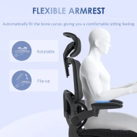 Vinsetto Ergonomic Office Chair, Mesh Chair with Adjustable Back, Headrest and Armrests, Lumbar Support, Tilt Function(m-5)