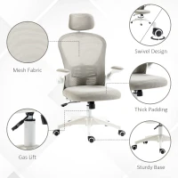 Vinsetto Office Chair, Mesh Computer Desk Chair with Adjustable Headrest, 4D Lumbar Support, Flip-up Arm, Grey(m-7)