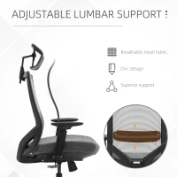 Vinsetto Mesh Fabric Home Office Task Chair with High Back, Adjustable Seat, Recline, Headrest and Lumbar Support, Grey(m-6)