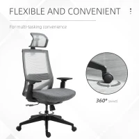 Vinsetto Mesh Fabric Home Office Task Chair with High Back, Adjustable Seat, Recline, Headrest and Lumbar Support, Grey(m-8)