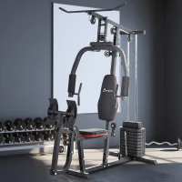 Soozier Home Gym Weights Machine, Multi Gym Lat Pulldown and Leg Workout Equipment with 99lbs Weight Stack(m-8)