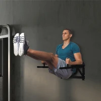 Soozier Wall Mounted Dip Station Multi-Function Power Tower Set Home Gym Pull Up Bar Chin Up Exercise Bar Knee Raise Triceps Leg Dipping Raise Rack Black(m-8)