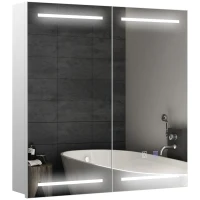 HOMCOM Illuminated Medicine Cabinet with Mirror, LED Vanity Mirror Cabinet with Defogging Film, Stainless Steel Frame(m-11)