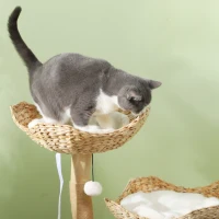 PawHut 37 Inch Modern Cat Tree w/ Wooden Scratching Posts, Condo, Beds, Cushions, Toy Balls & Anti-Tip Kit(m-8)