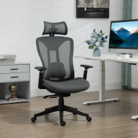 Vinsetto Ergonomic Office Chair with Adjustable Headrest, Lumbar Support, 3D Armrest, Mesh Computer Desk Chair with High Back, Swivel Reclining Seat with Tilt Function, Grey(m-8)