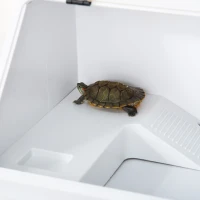 PawHut Small Turtle Tank with Basking Platform, Reptile Aquarium Cage with Feeding Trough, Box Turtle Habitat and Hermit Crab Habitat, Clear Sunlight Window, Indoor and Outdoor(m-9)