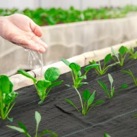 Outsunny 4FT x 300FT Weed Barrier Landscape Fabric, 5oz Heavy Duty Woven Weed Control Fabric for Landscaping(m-10)