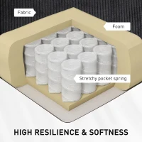 HOMCOM Push Back Recliner Chair, Vibration Massage Recliner for Living Room with Extendable Footrest, Remote, Pocket, Black(m-6)