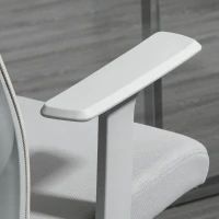 Vinsetto High Back Office Chair, Swivel Task Chair with Lumbar Back Support, Breathable Mesh, and Adjustable Height, Headrest, Grey(m-9)