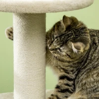 PawHut Modern Cat Tree with Scratching Posts and Rattan Cat House, Small Cat Tower for Indoor Cat Furniture, Beige(m-8)