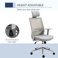 Vinsetto High Back Office Chair, Swivel Task Chair with Lumbar Back Support, Breathable Mesh, and Adjustable Height, Headrest, Grey(m-4)
