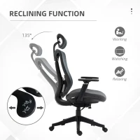 Vinsetto Ergonomic Office Chair with Adjustable Headrest, Lumbar Support, 3D Armrest, Mesh Computer Desk Chair with High Back, Swivel Reclining Seat with Tilt Function, Grey(m-5)