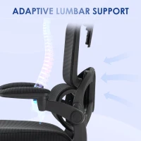 Vinsetto Ergonomic Office Chair, Mesh Chair with Adjustable Back, Headrest and Armrests, Lumbar Support, Tilt Function(m-6)