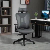 Vinsetto Ergonomic Office Chair with Adjustable Headrest, Lumbar Support, 3D Armrest, Mesh Computer Desk Chair with High Back, Swivel Reclining Seat with Tilt Function, Grey(m-1)