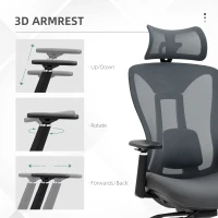 Vinsetto Ergonomic Office Chair with Adjustable Headrest, Lumbar Support, 3D Armrest, Mesh Computer Desk Chair with High Back, Swivel Reclining Seat with Tilt Function, Grey(m-9)
