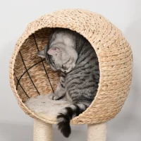 PawHut Cat Tree with Sisal Scratching Post Condo and Hanging Rope 39" H, Beige(m-8)