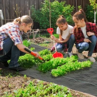 Outsunny 4FT x 300FT Weed Barrier Landscape Fabric, 5oz Heavy Duty Woven Weed Control Fabric for Landscaping(m-2)