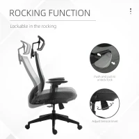 Vinsetto Mesh Fabric Home Office Task Chair with High Back, Adjustable Seat, Recline, Headrest and Lumbar Support, Grey(m-5)